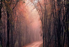 必应Bing的搜索广告和展示(受众)广告分别在哪些地方展示