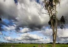 必应Bing的搜索广告和展示(受众)广告分别在哪些地方展示