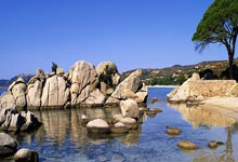 selectpicker下拉框选择国家及地区